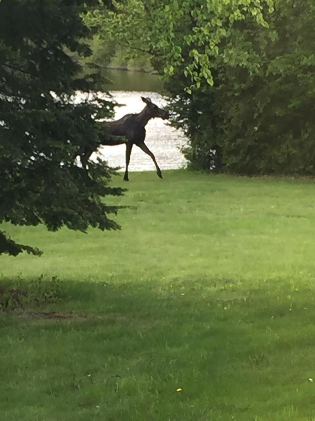 1 Square Lake Sinclair, ME 04779 - Photo 14 of 143 Fraser Camps