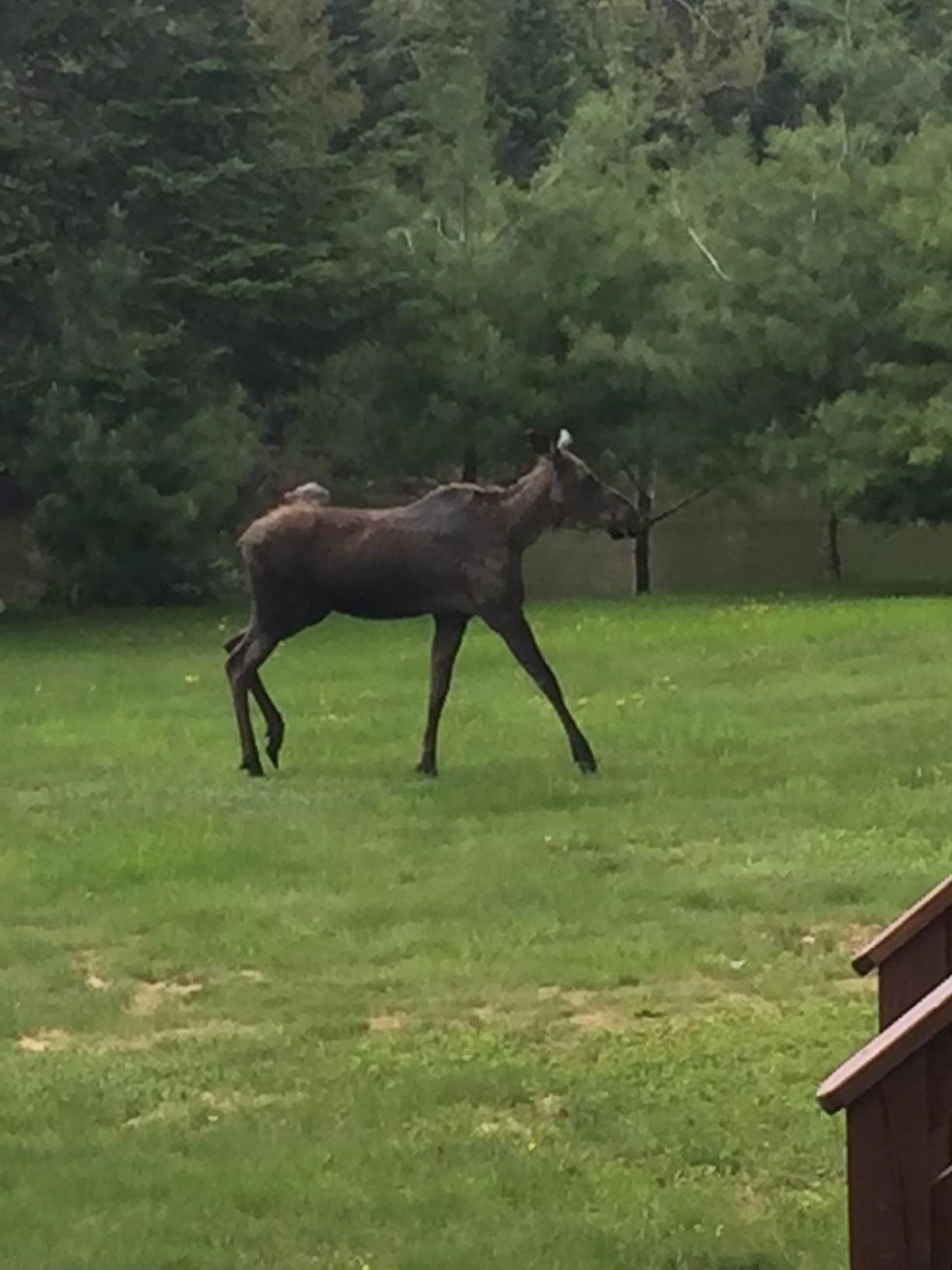 1 Square Lake Sinclair, ME 04779 - Photo 15 of 143 Fraser Camps
