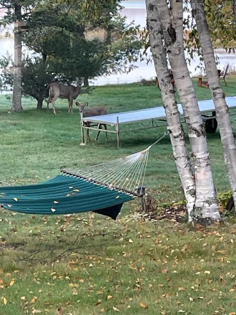 1 Square Lake Sinclair, ME 04779 - Photo 16 of 143 Fraser Camps