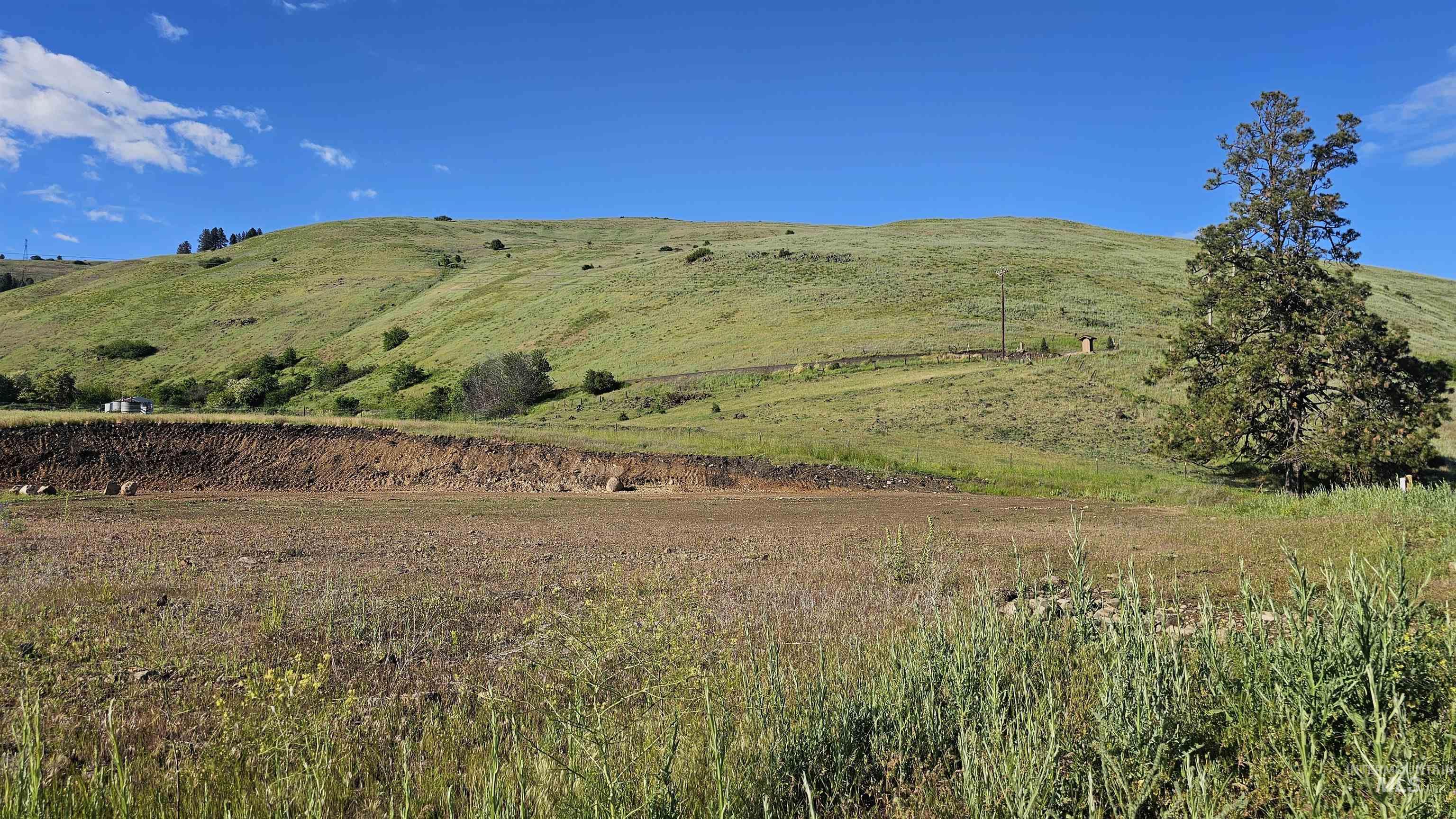 Tbd Lot 5 Tbd Lane Lenore, ID 83541 - Photo 22 of 31