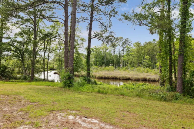 a view of a grassy field with trees in the background