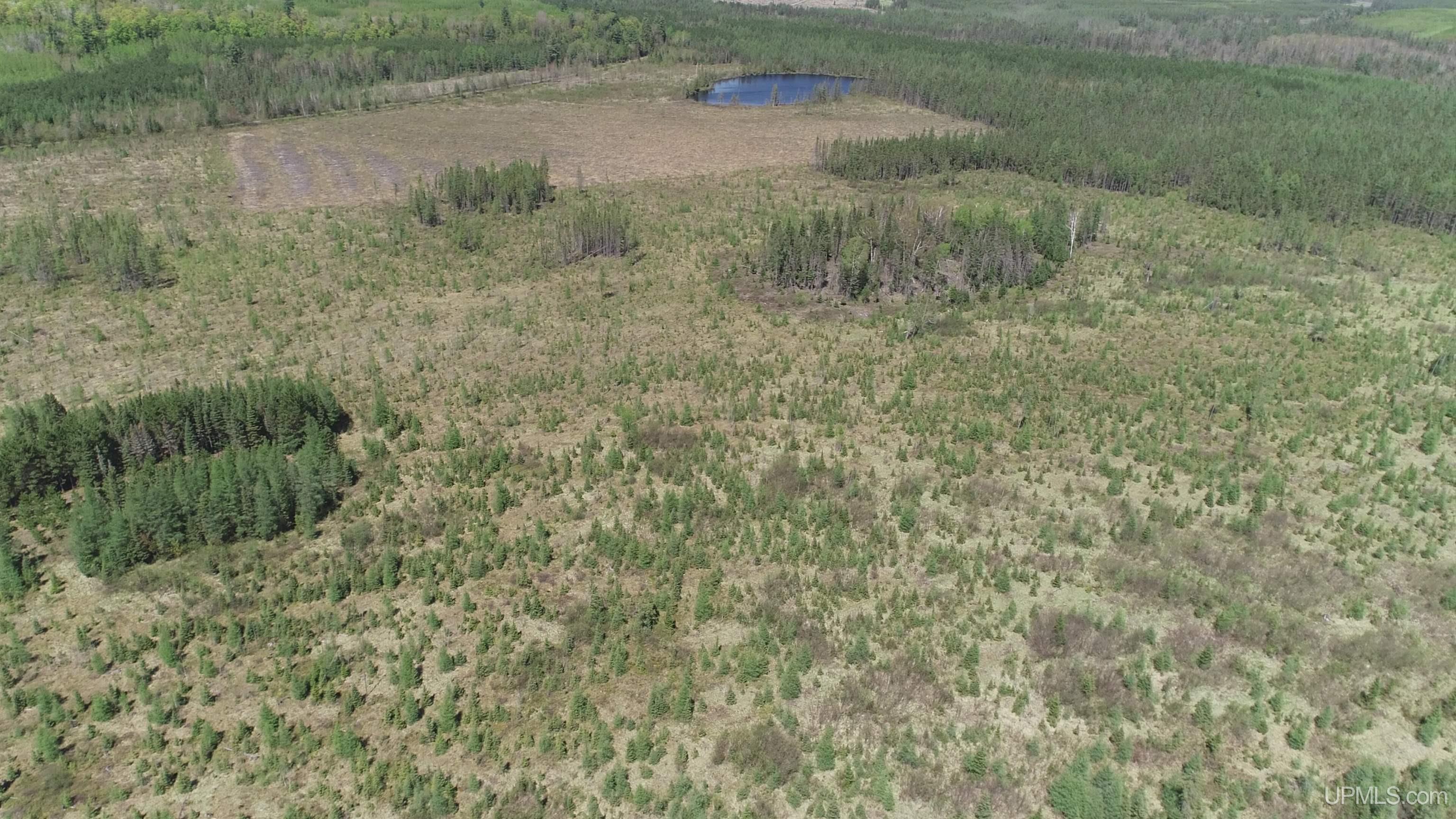 58-acres Co Rd Fn Road Champion, MI 49814 - Photo 2 of 27