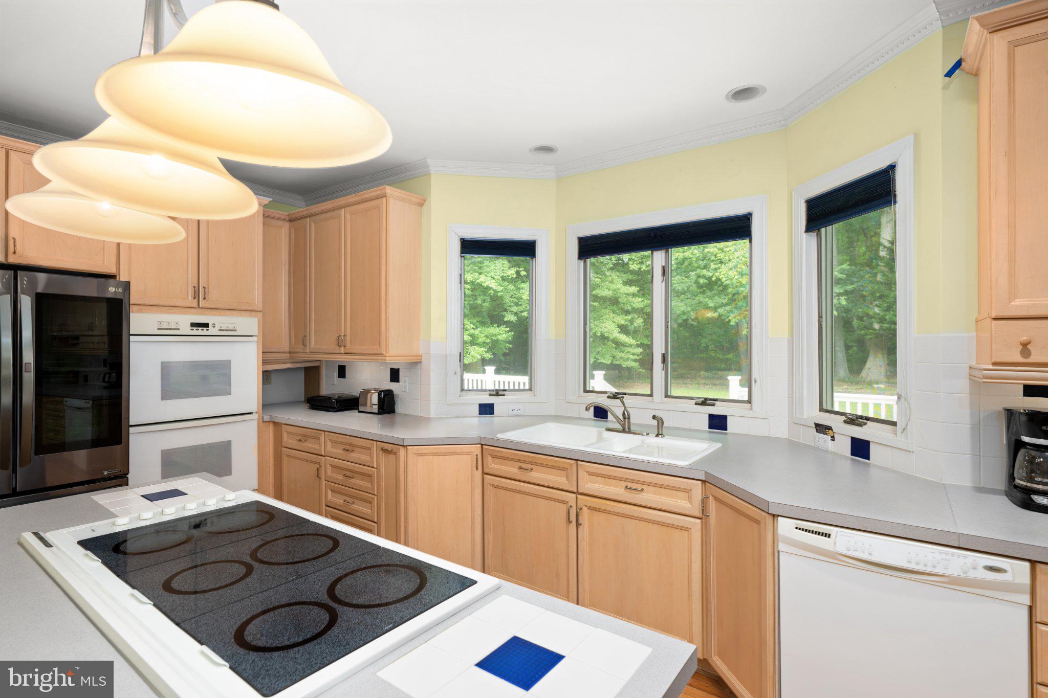 36314 Old Mill Pond Road Selbyville, DE 19975 - Photo 8 of 45 Bright and airy kitchen with nature views.