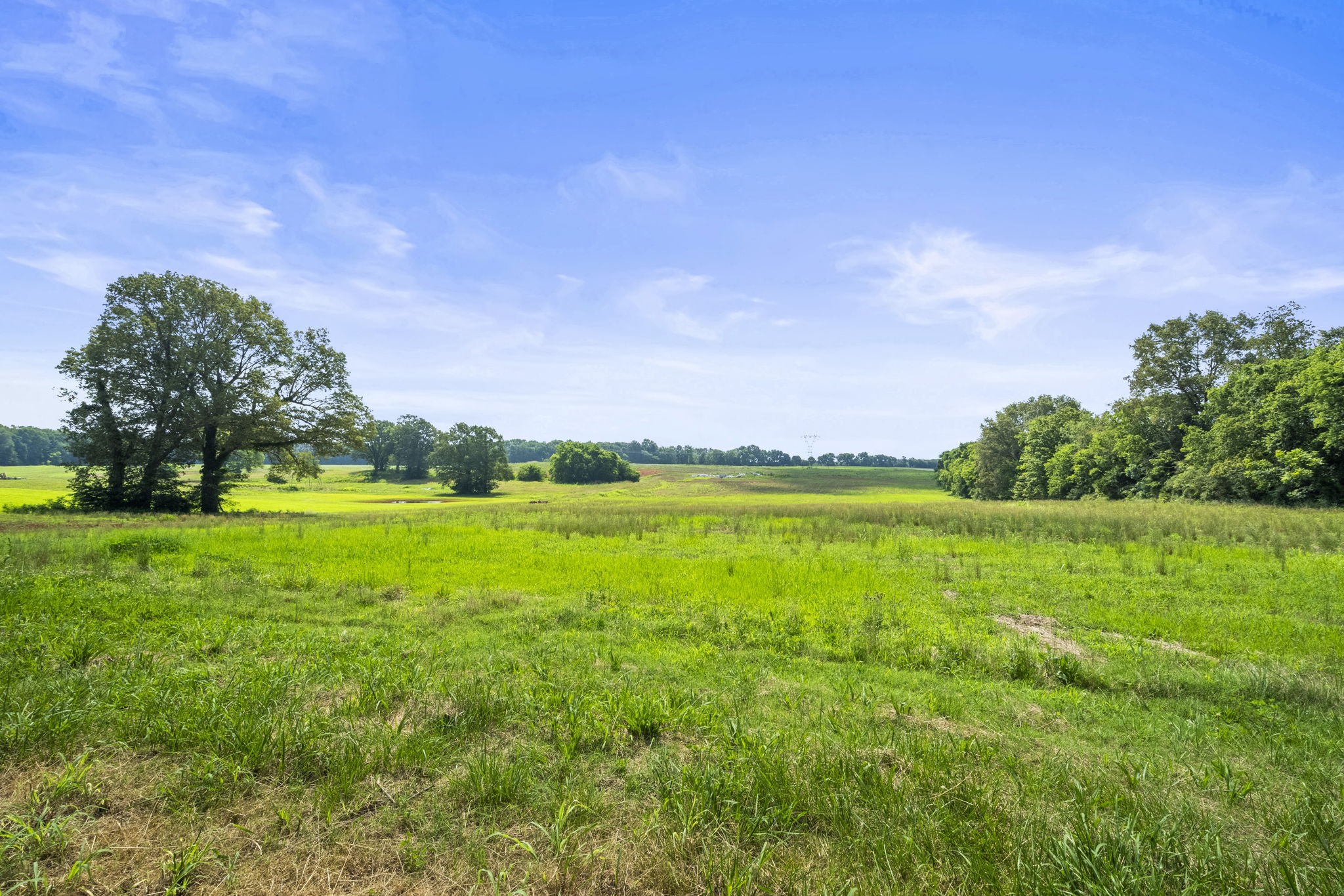 4635 Hwy 431 N Springfield Tn 37172 North Springfield, TN 37172 - Photo 16 of 23
