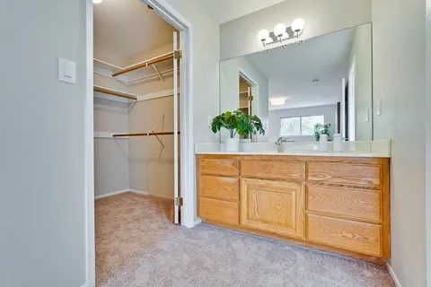 a view of a backyard with furniture and plants