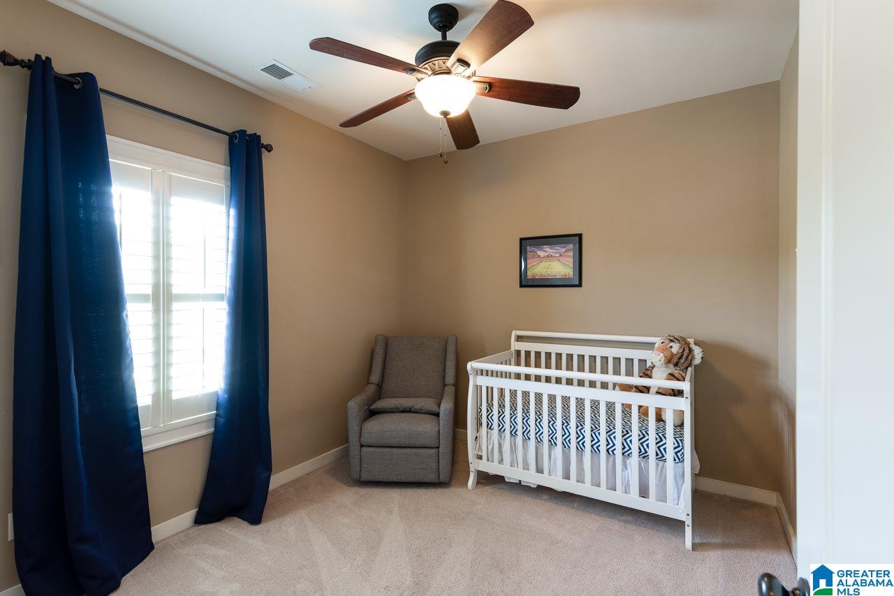 342 Lake Chelsea Court Chelsea, AL 35043 - Photo 22 of 40