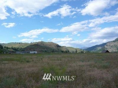 490 West Chewuch Road Winthrop, WA 98862 - Photo 1 of 1 Gallery Image 1