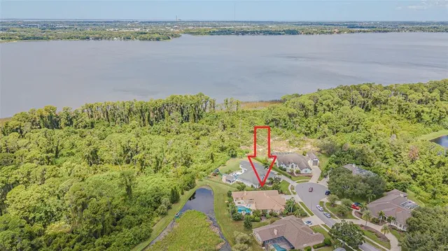 a balcony with furniture and a potted plant
