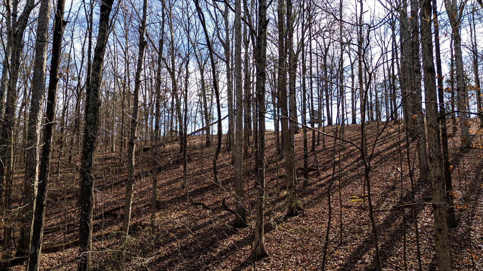 0 Northwest Drive Charleston, TN 37310 - Photo 3 of 17 06-Northwest Dr NW-6