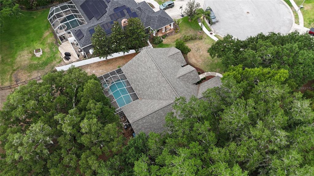 3042 Colonial Ridge Drive Brandon, FL 33511 - Photo 87 of 89
