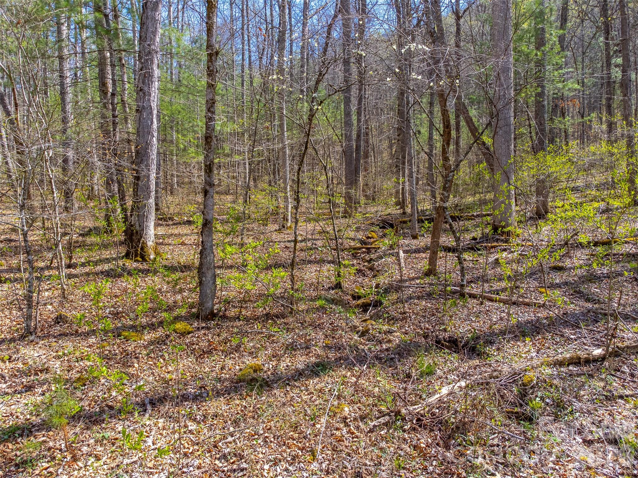 306 Cedar Creek Farm Road Tuckasegee, NC 28783 - Photo 11 of 29 a view of under construction area