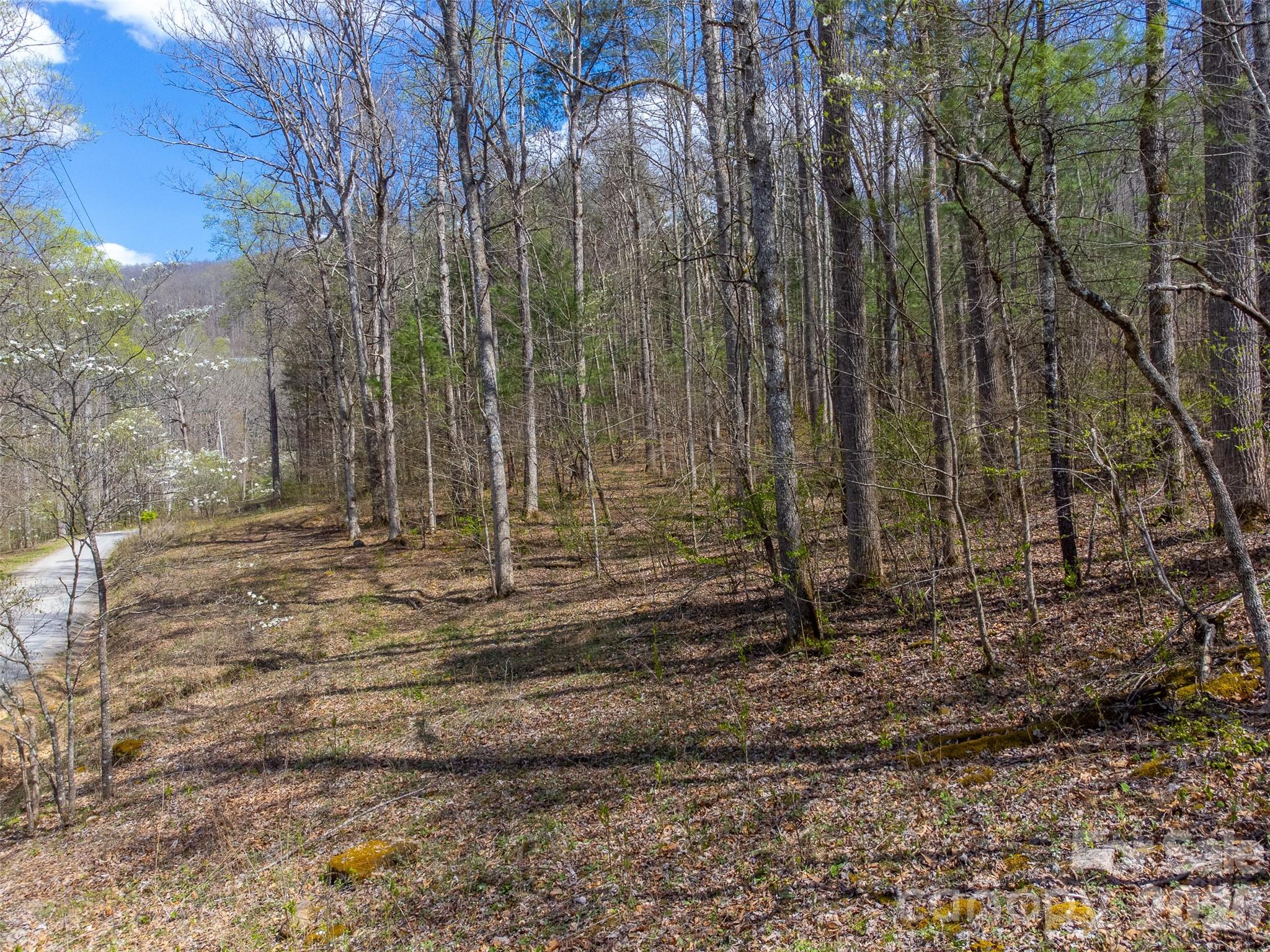 306 Cedar Creek Farm Road Tuckasegee, NC 28783 - Photo 13 of 29 a view of a backyard with trees
