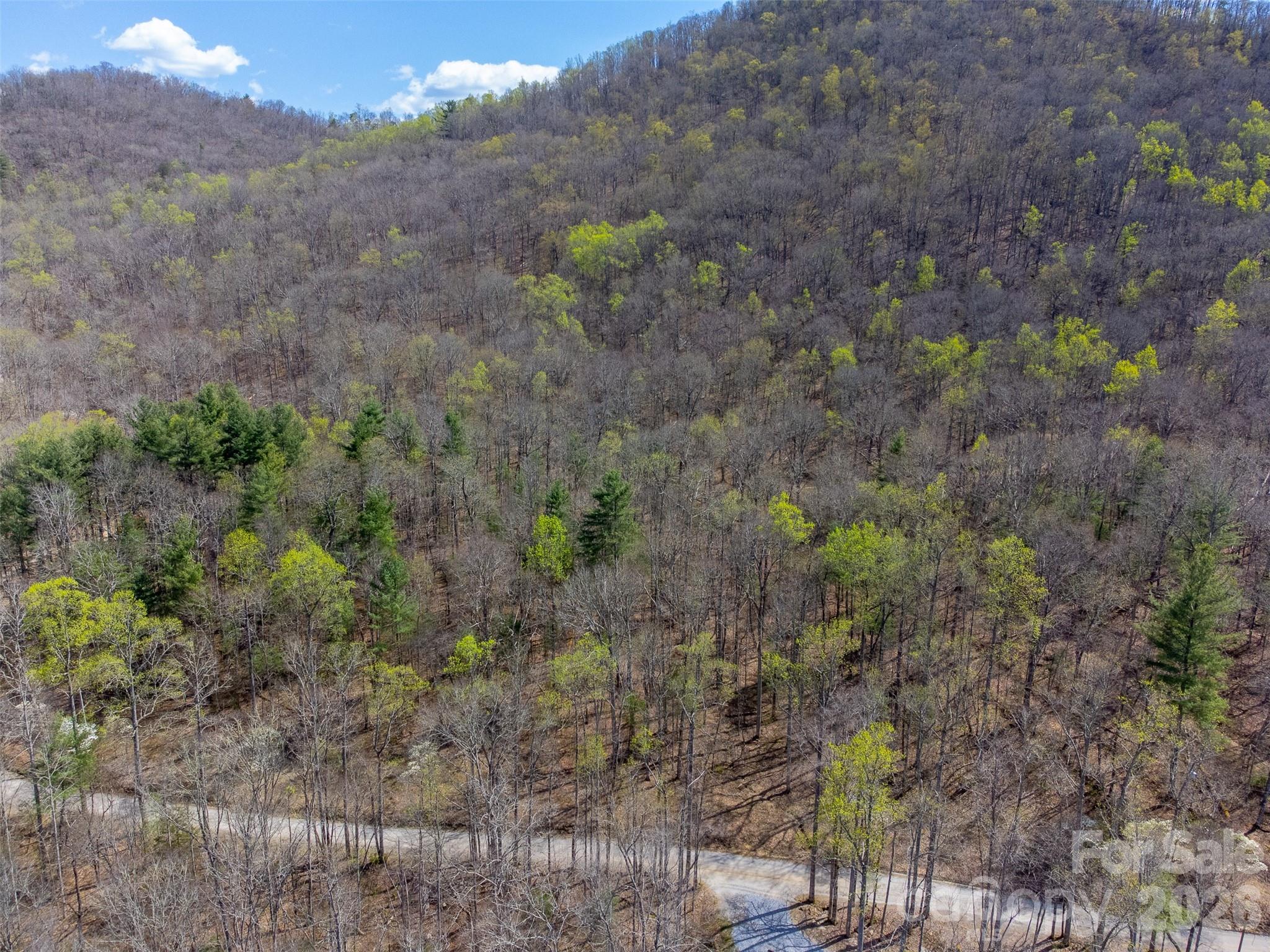 306 Cedar Creek Farm Road Tuckasegee, NC 28783 - Photo 15 of 29 a view of a yard with a tree