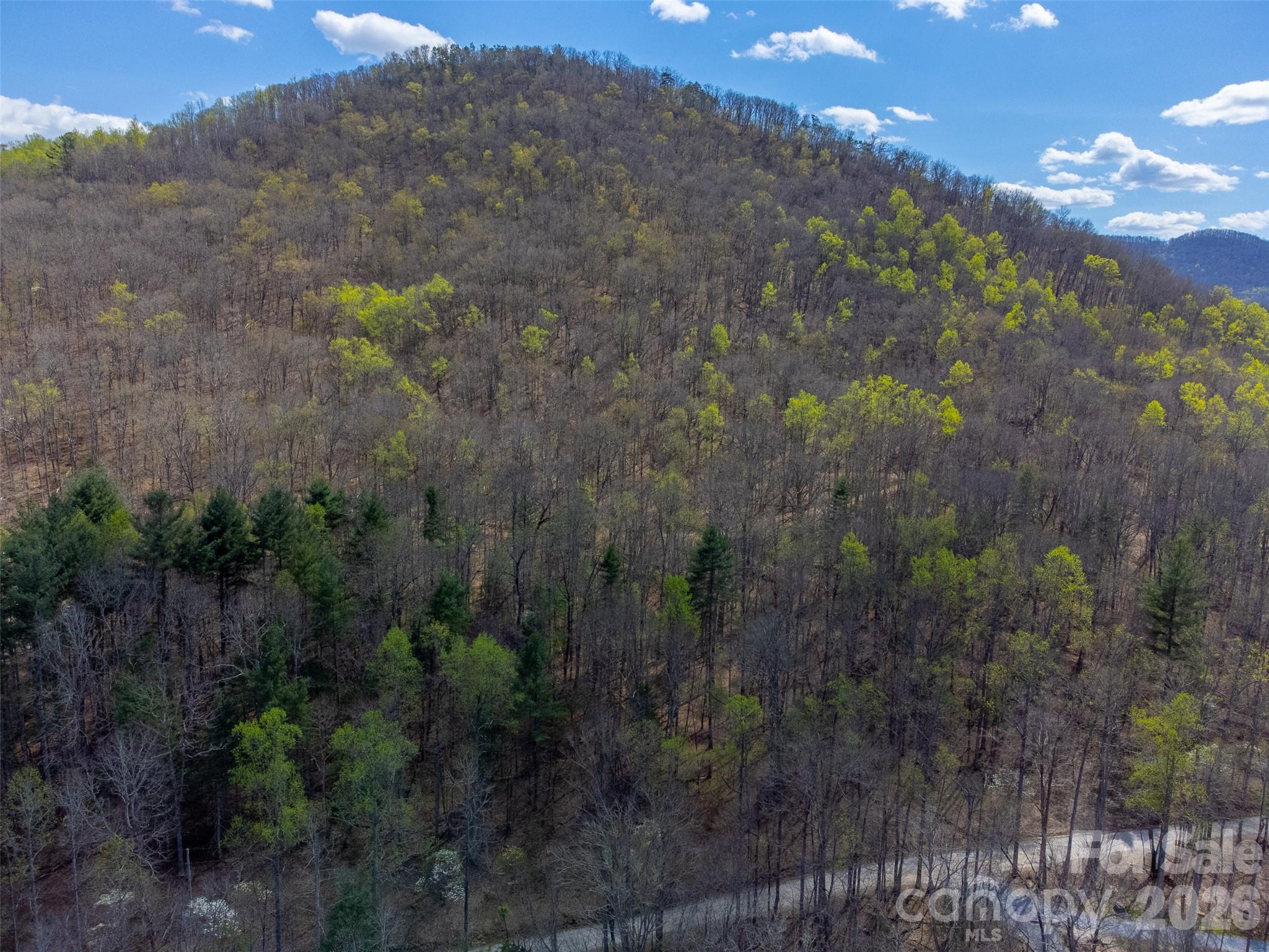 306 Cedar Creek Farm Road Tuckasegee, NC 28783 - Photo 16 of 29 a view of a yard in a forest