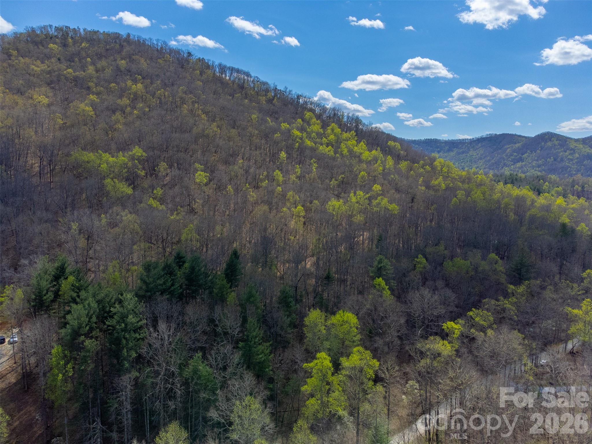 306 Cedar Creek Farm Road Tuckasegee, NC 28783 - Photo 17 of 29 a view of a yard with a tree