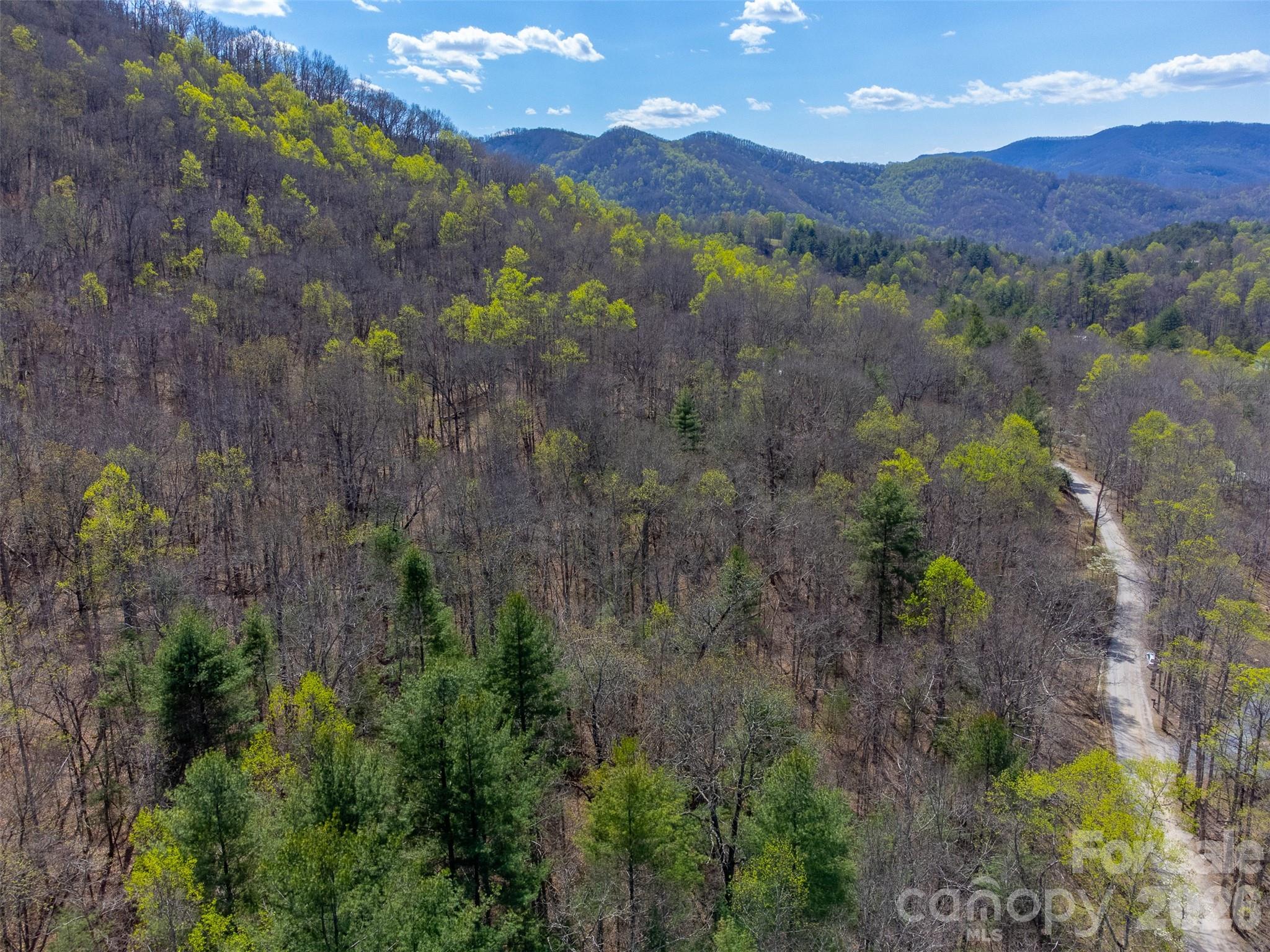 306 Cedar Creek Farm Road Tuckasegee, NC 28783 - Photo 18 of 29 a view of a lush green hillside and a mountain