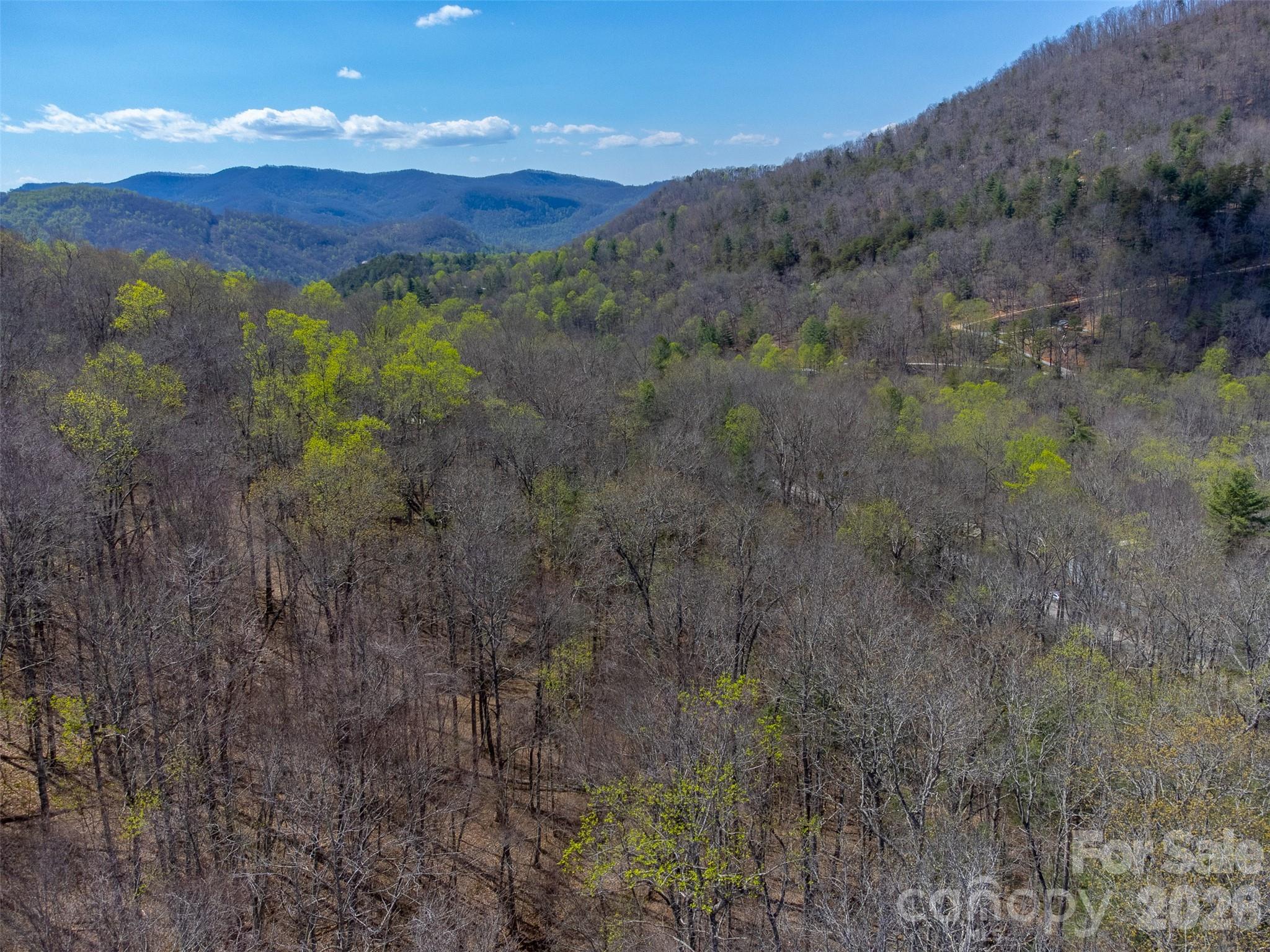 306 Cedar Creek Farm Road Tuckasegee, NC 28783 - Photo 19 of 29 a view of a lush green outdoor space with a mountain