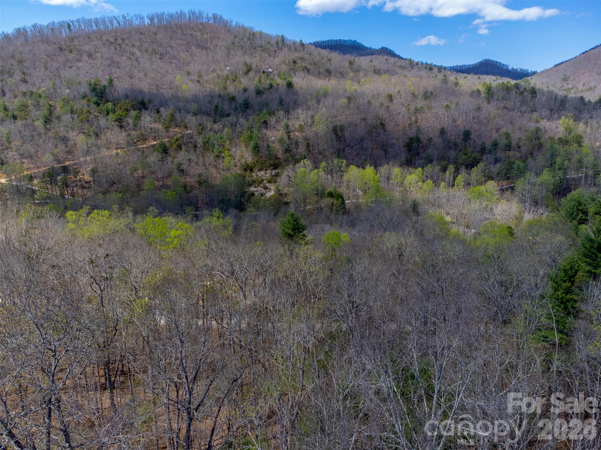 306 Cedar Creek Farm Road Tuckasegee, NC 28783 - Photo 20 of 29 a view of a lake with mountains in the background