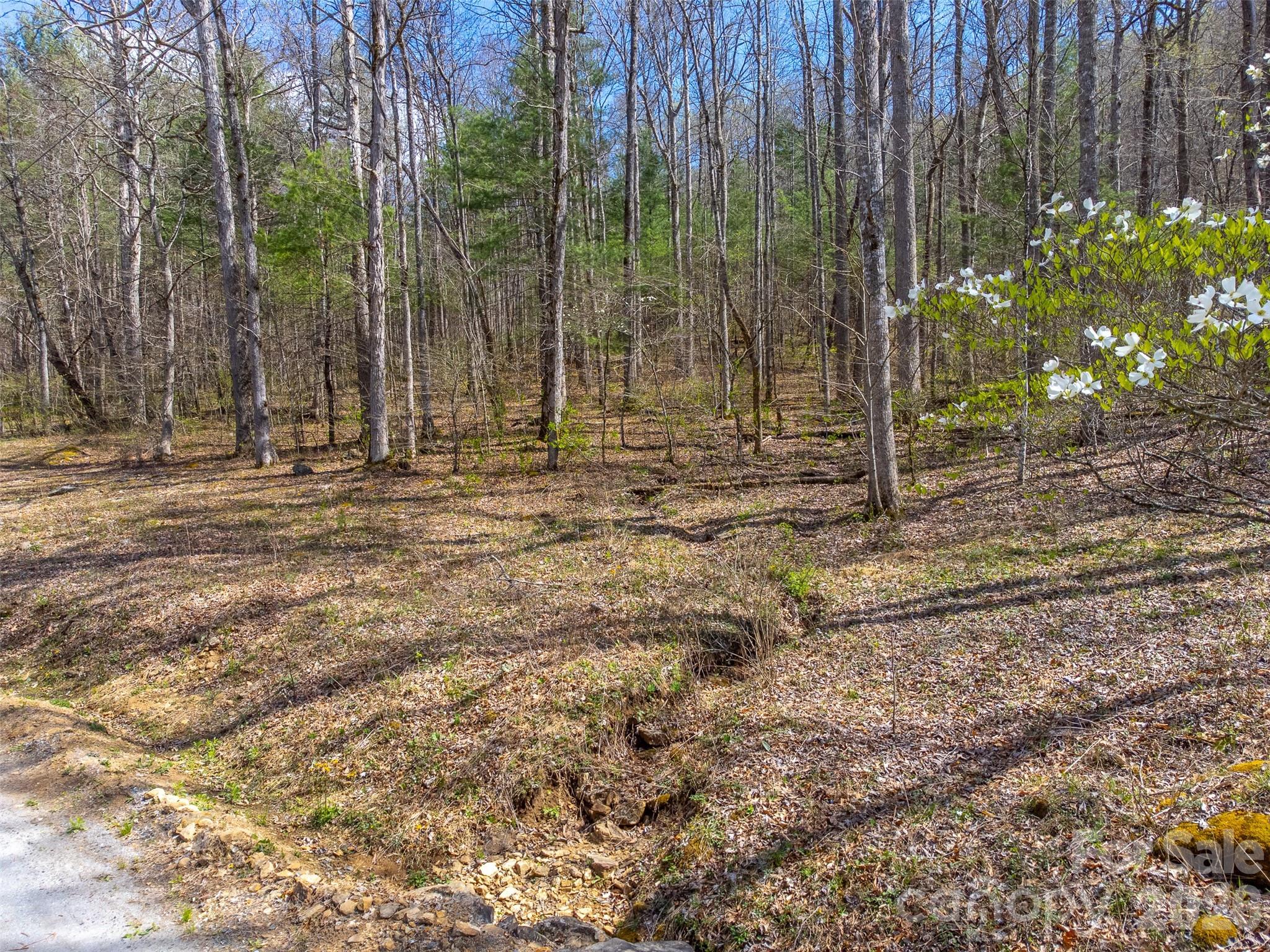 306 Cedar Creek Farm Road Tuckasegee, NC 28783 - Photo 2 of 29 a view of a backyard with trees