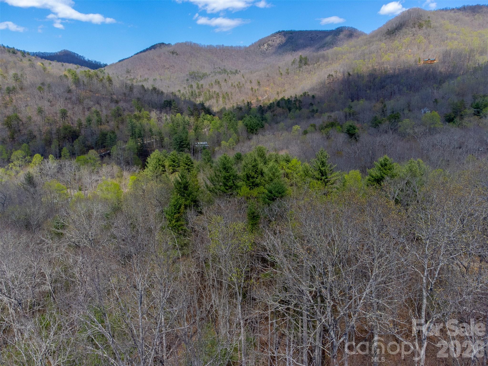 306 Cedar Creek Farm Road Tuckasegee, NC 28783 - Photo 21 of 29 a view of a lush green hillside and a building