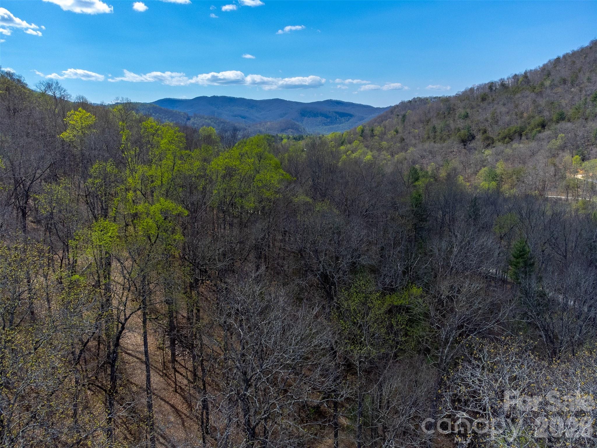 306 Cedar Creek Farm Road Tuckasegee, NC 28783 - Photo 22 of 29 a view of a lush green forest with mountains in the background