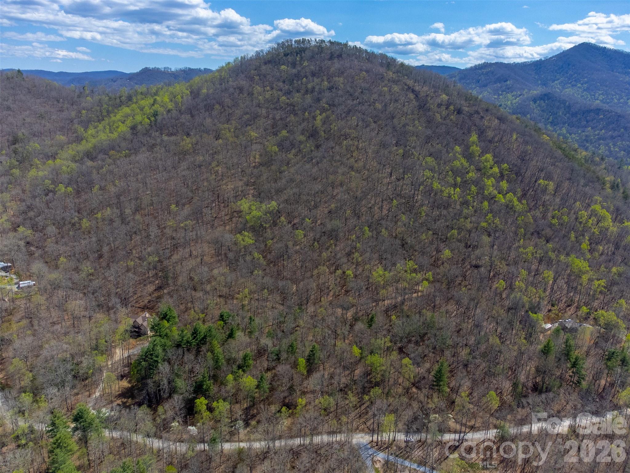 306 Cedar Creek Farm Road Tuckasegee, NC 28783 - Photo 24 of 29 a view of a dry yard with mountains in the background