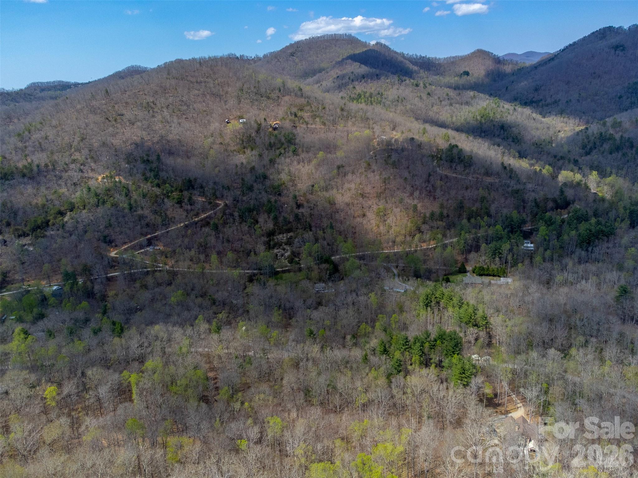 306 Cedar Creek Farm Road Tuckasegee, NC 28783 - Photo 26 of 29 a view of a forest