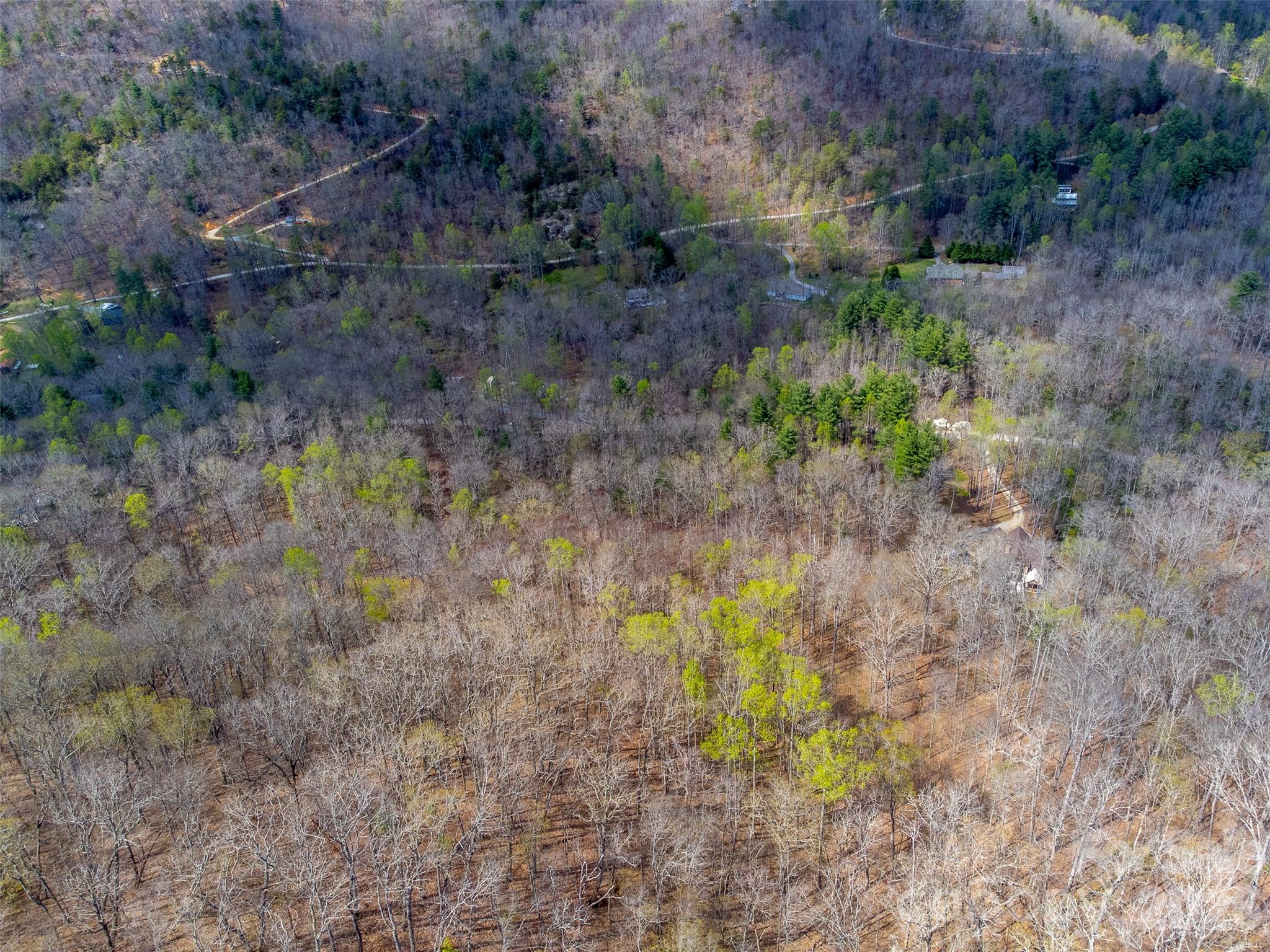 306 Cedar Creek Farm Road Tuckasegee, NC 28783 - Photo 27 of 29 a backyard of a house with lots of green space