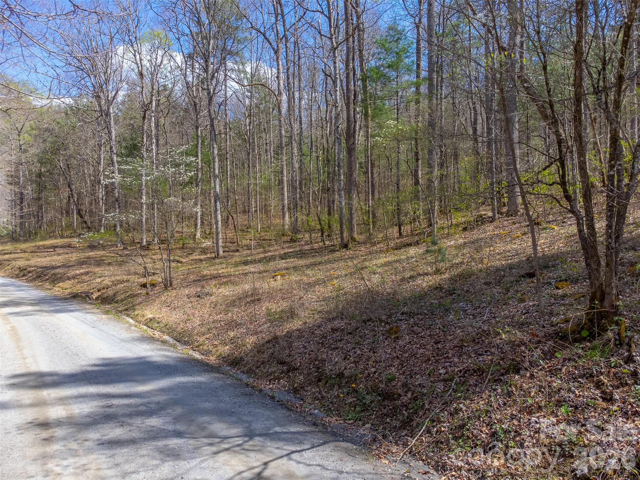 306 Cedar Creek Farm Road Tuckasegee, NC 28783 - Photo 29 of 29 a backyard of a house with lots of green space