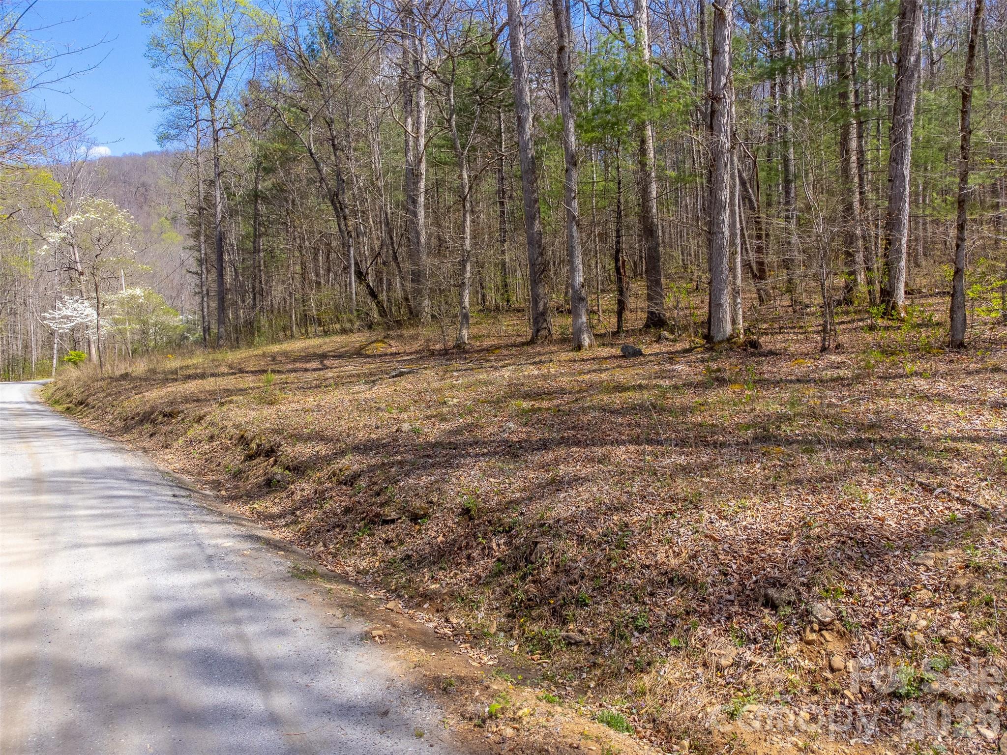 306 Cedar Creek Farm Road Tuckasegee, NC 28783 - Photo 3 of 29 a view of a backyard of the house