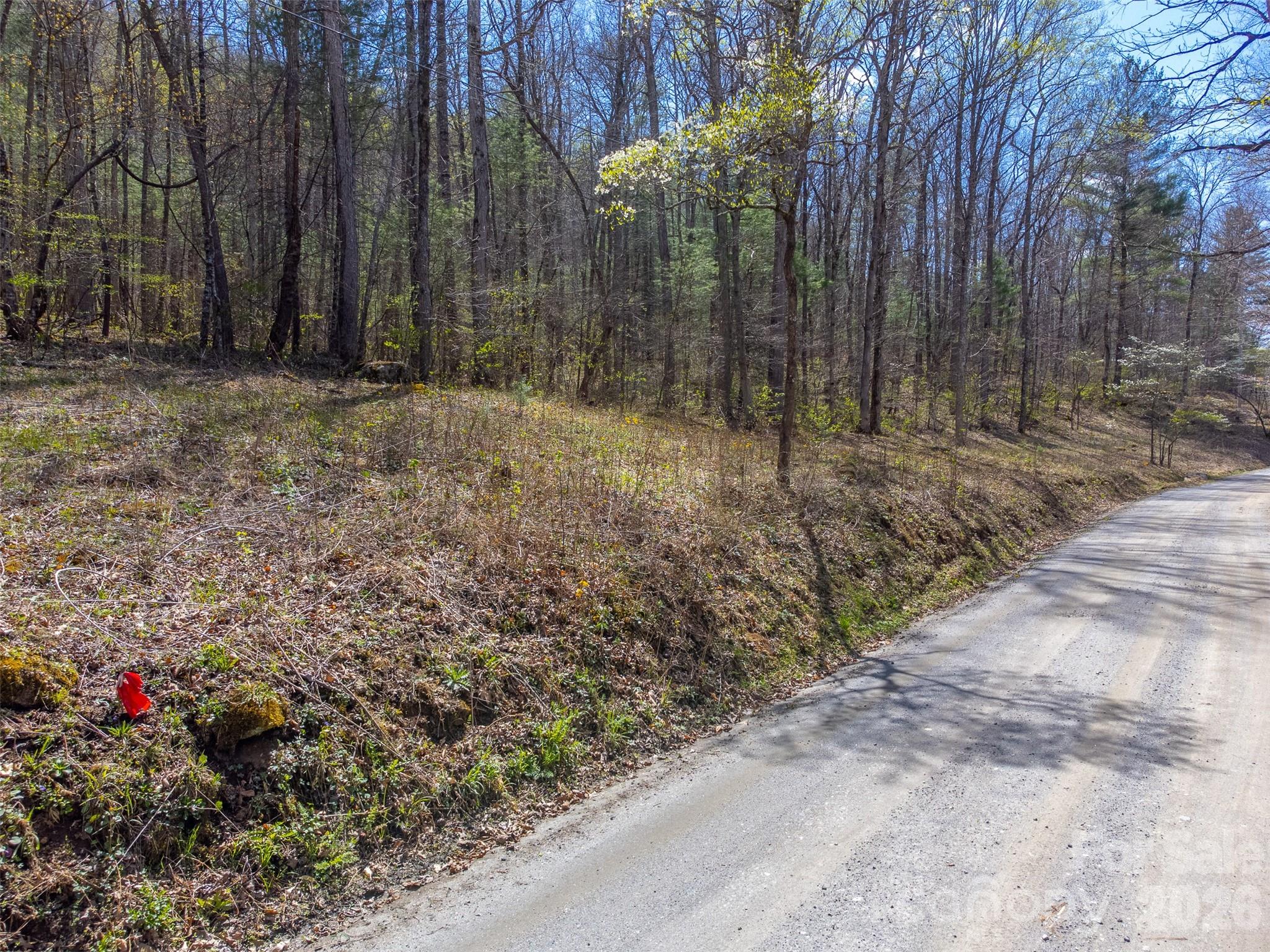 306 Cedar Creek Farm Road Tuckasegee, NC 28783 - Photo 5 of 29 a view of backyard with green space