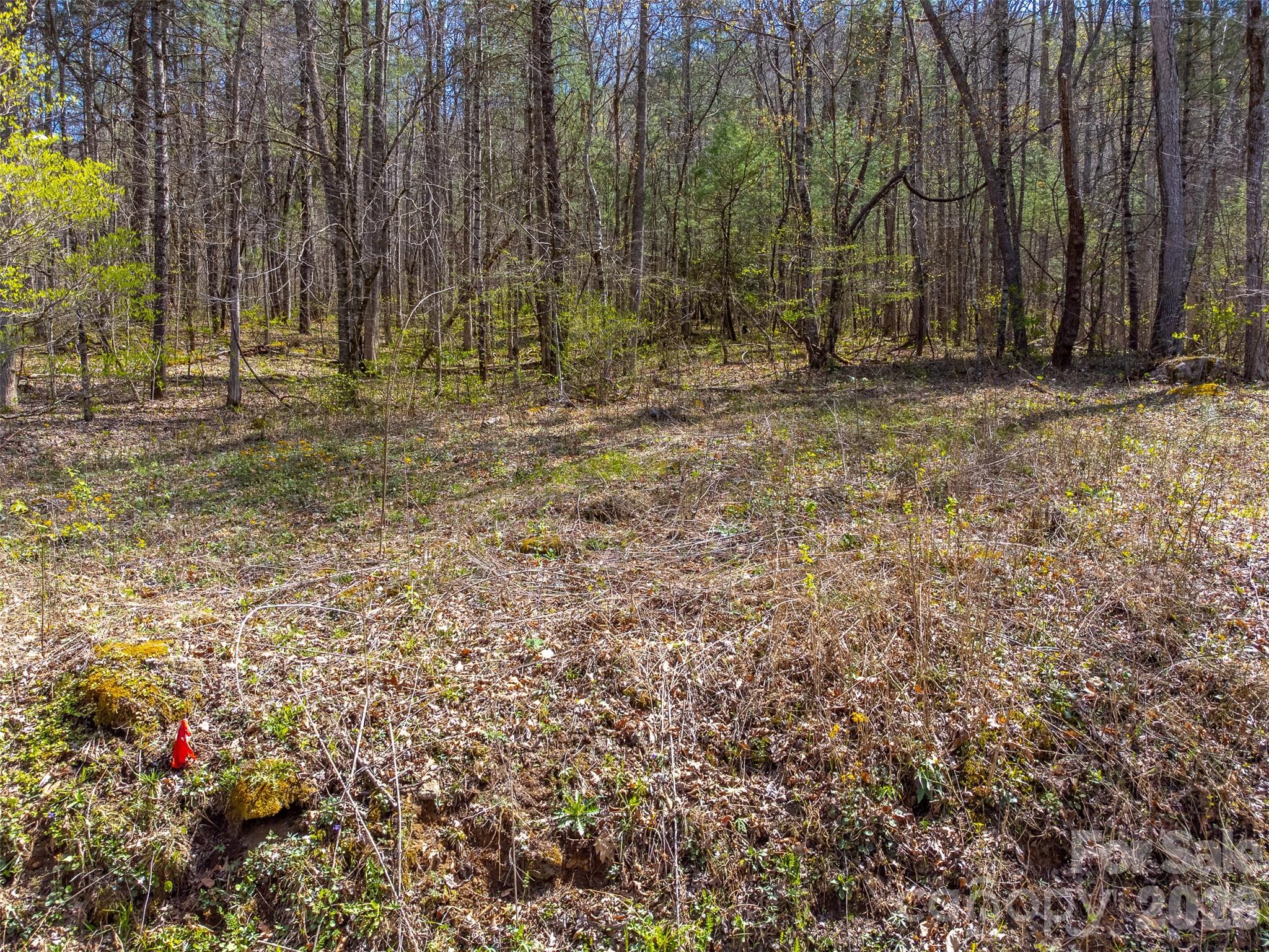306 Cedar Creek Farm Road Tuckasegee, NC 28783 - Photo 6 of 29 a view of outdoor space with trees
