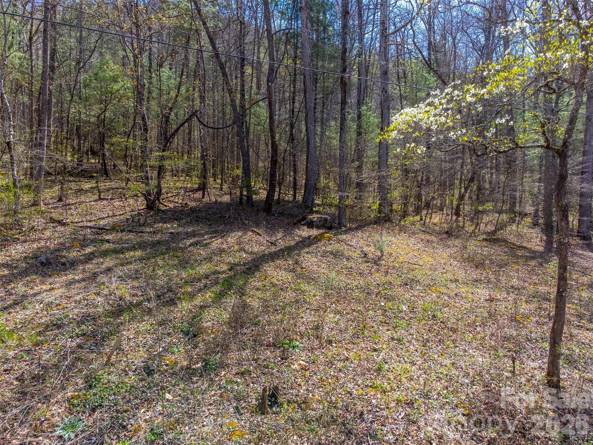 306 Cedar Creek Farm Road Tuckasegee, NC 28783 - Photo 7 of 29 a view of a backyard with large trees