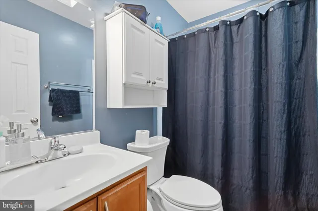 a bathroom with a sink a toilet a mirror and shower curtain