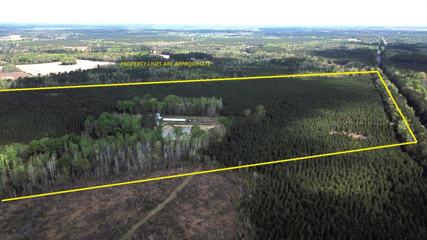 305 Ponderosa Road St. Matthews, SC 29135 - Photo 1 of 20 DJI_0073