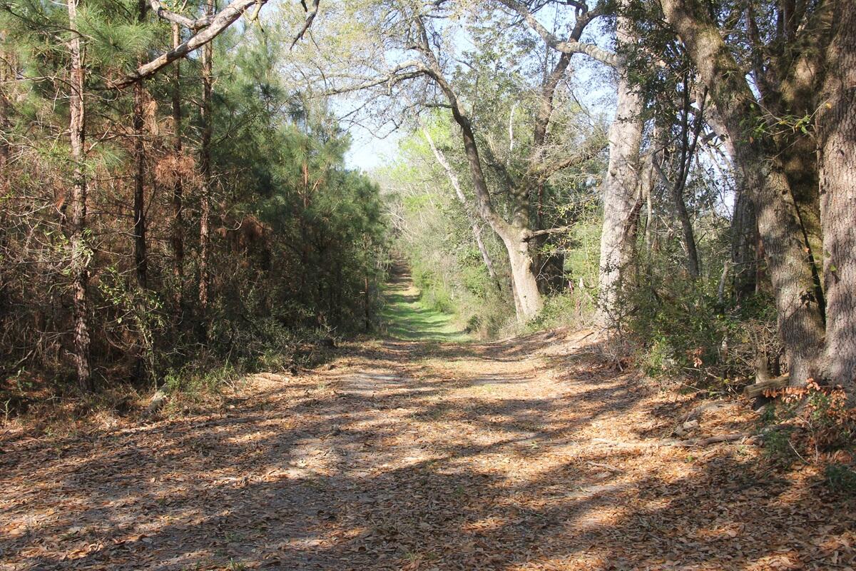 305 Ponderosa Road St. Matthews, SC 29135 - Photo 11 of 20 IMG_9858