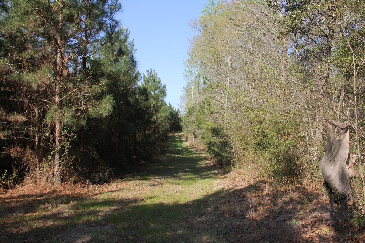 305 Ponderosa Road St. Matthews, SC 29135 - Photo 13 of 20 IMG_9865