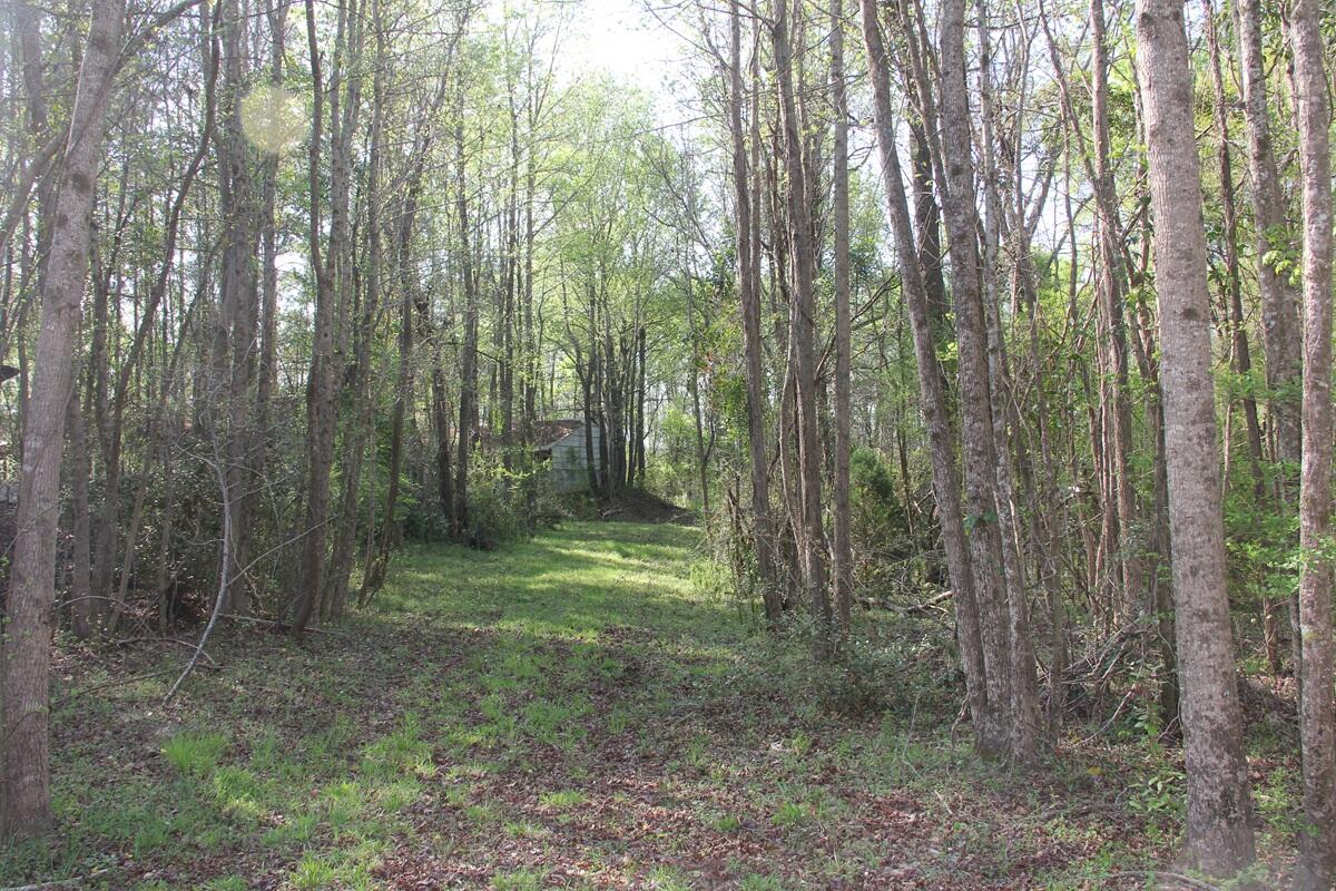 305 Ponderosa Road St. Matthews, SC 29135 - Photo 17 of 20 IMG_9876