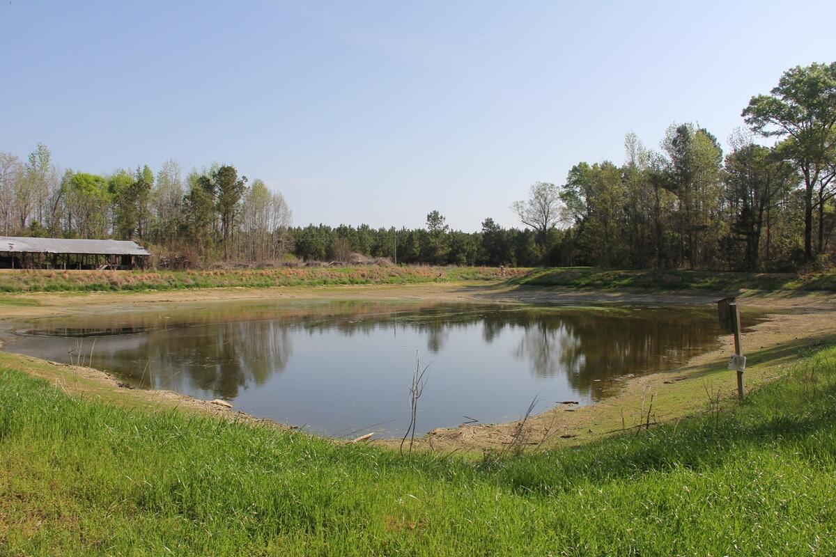 305 Ponderosa Road St. Matthews, SC 29135 - Photo 18 of 20 IMG_9877