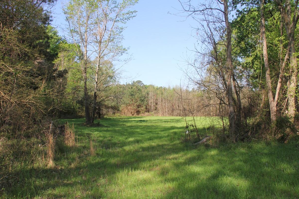 305 Ponderosa Road St. Matthews, SC 29135 - Photo 19 of 20 IMG_9879