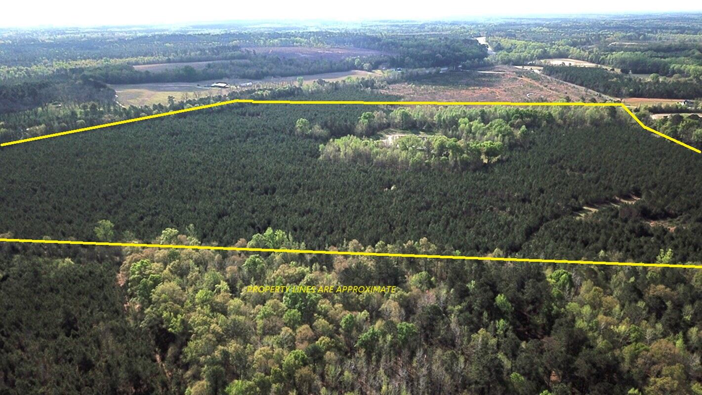 305 Ponderosa Road St. Matthews, SC 29135 - Photo 2 of 20 DJI_0014