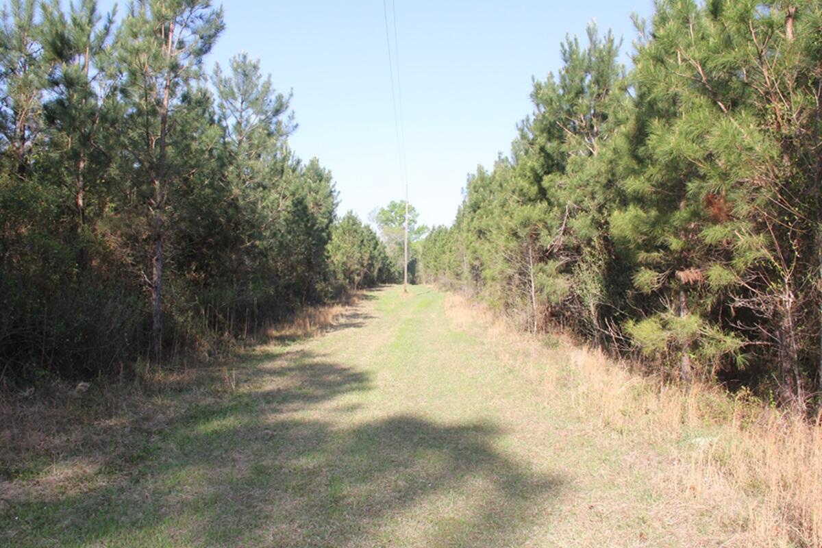 305 Ponderosa Road St. Matthews, SC 29135 - Photo 8 of 20 IMG_9854