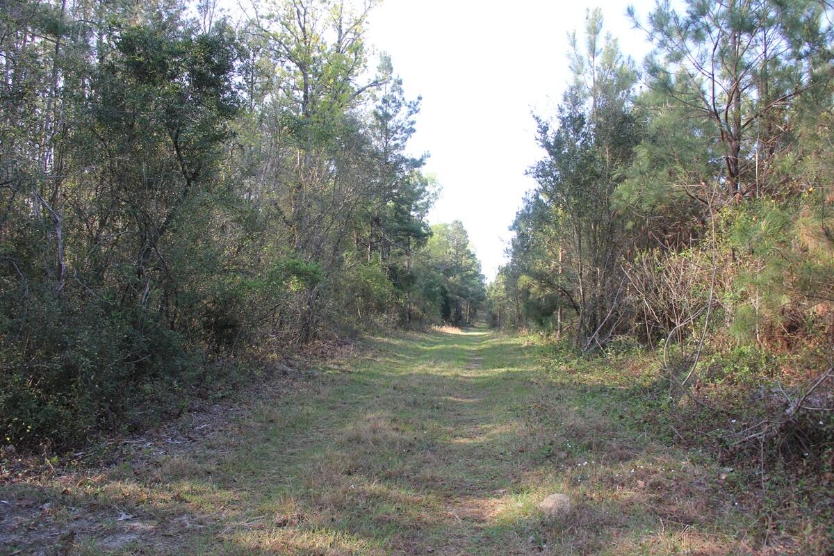 305 Ponderosa Road St. Matthews, SC 29135 - Photo 10 of 20 IMG_9857