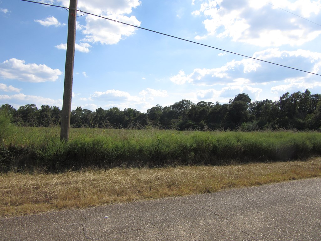 0 Baxter Road Webb, AL 36376 - Photo 4 of 8