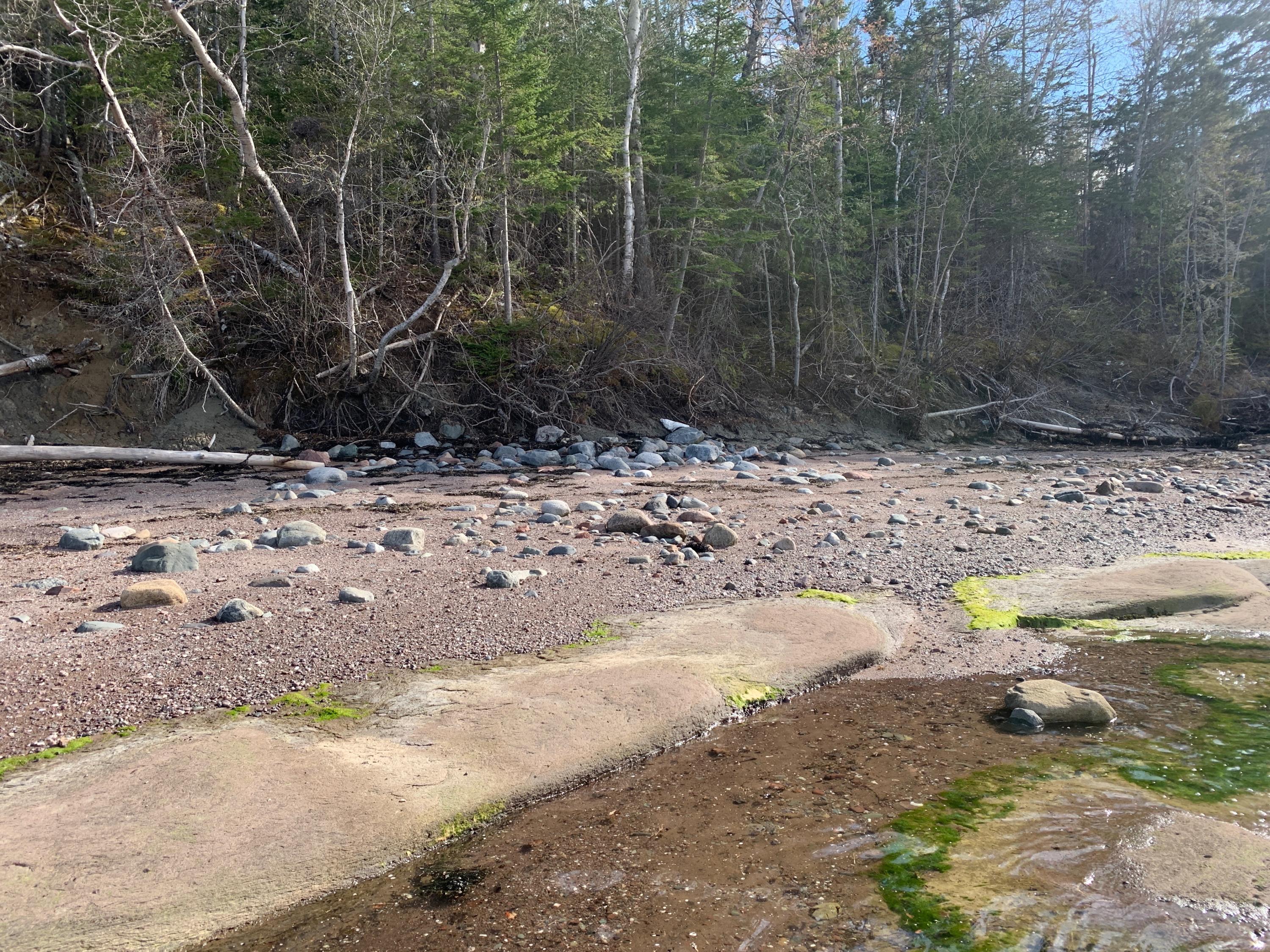 Lot 23 Gin Cove Road Perry, ME 04667 - Photo 29 of 46 IMG_0331