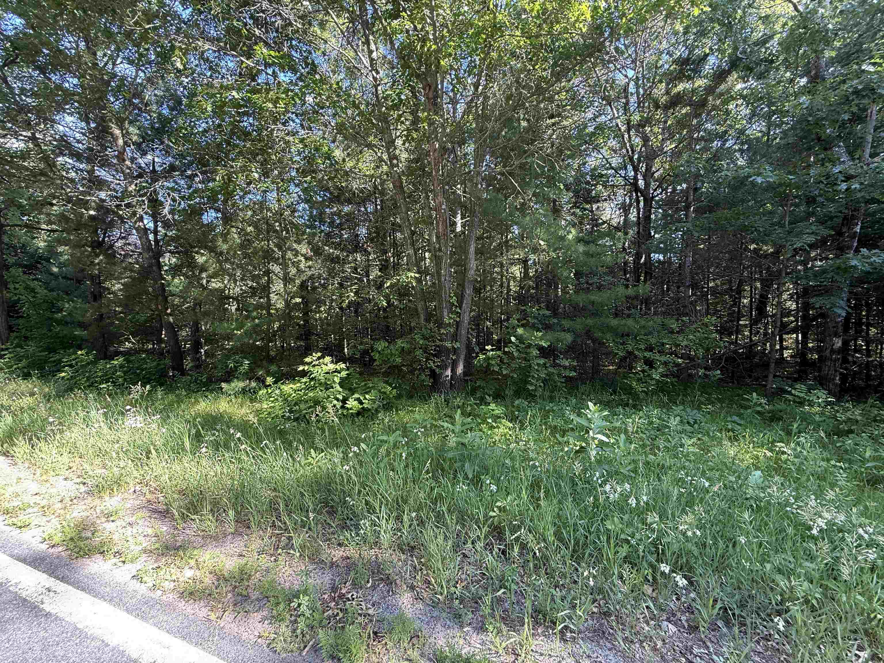 Lot 1 Jordan Road Stevens Point, WI 54482 - Photo 4 of 5