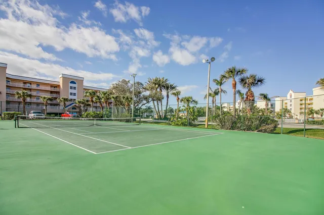 a view of a park with a large tree