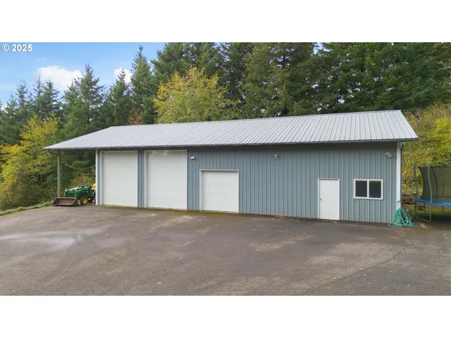 a black and white photo of a garden