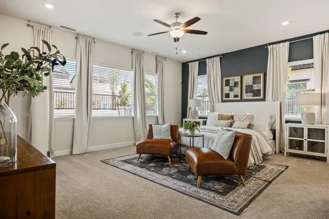 a living room with furniture potted plant and a window