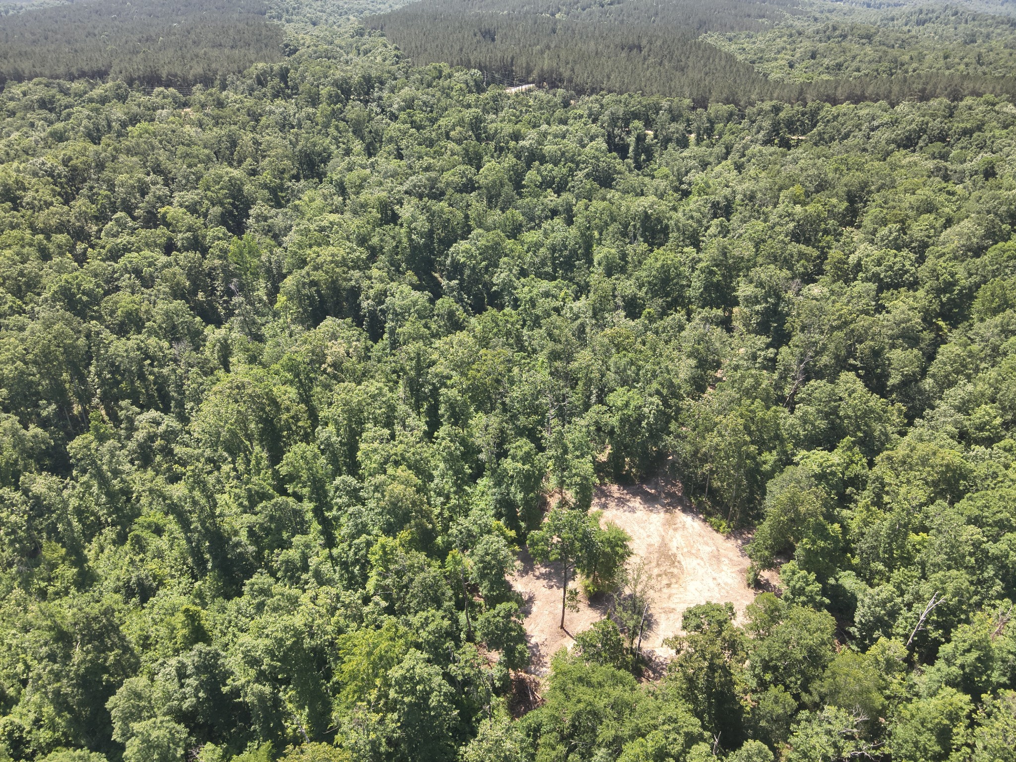 0 Bear Creek Road Waverly, TN 37185 - Photo 22 of 35 a view of a forest with a tree